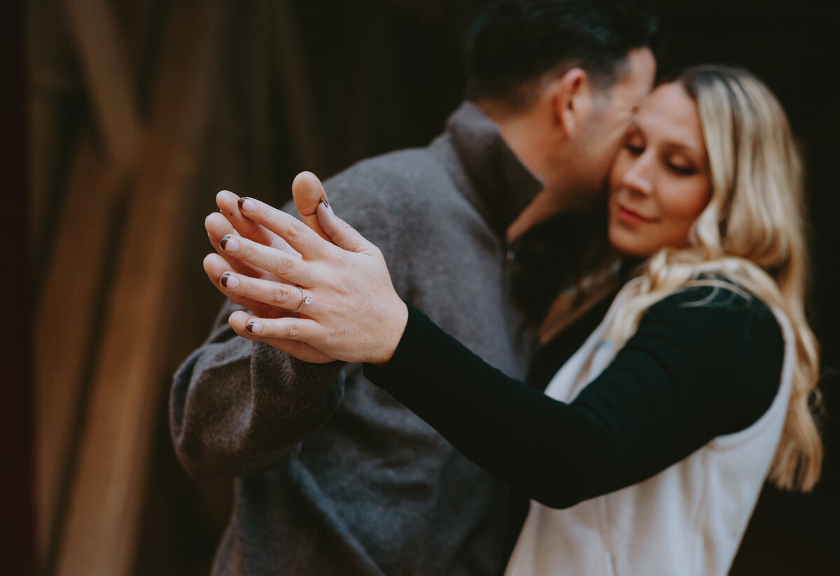 pittsburgh-engagement-photographer-1 (17)
