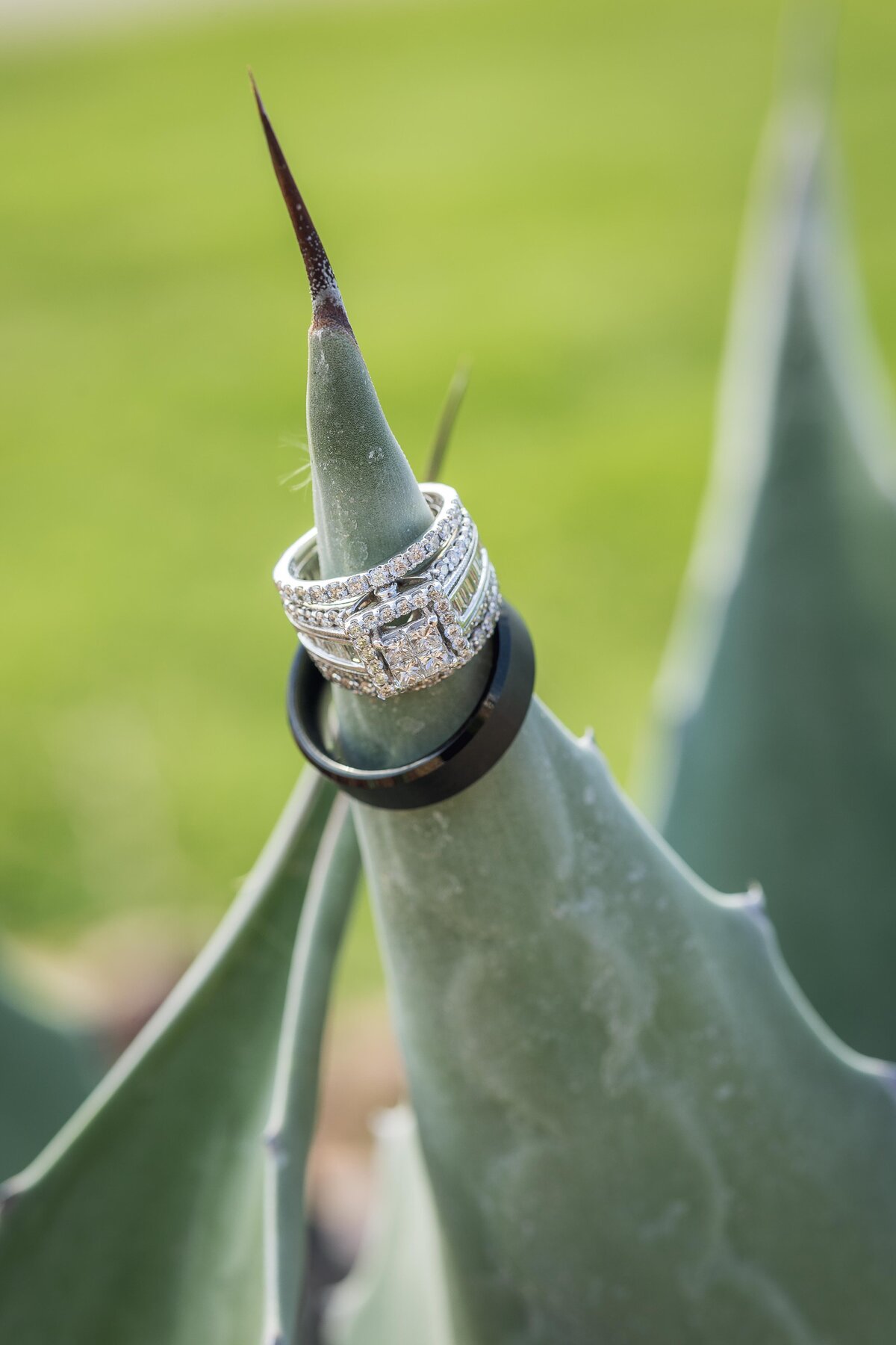 Elona Shea Photography_lake Havasu_Wedding_iron wolf_Refuge Golf Resort-19