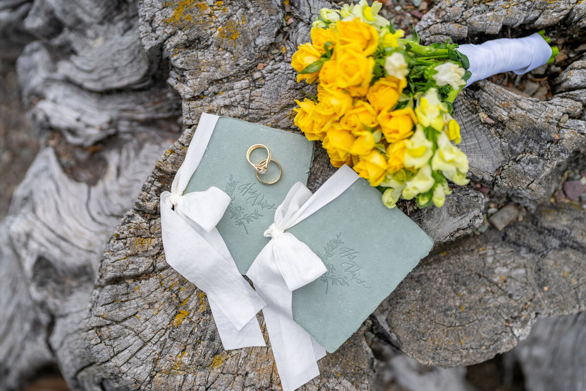 Glacier National Park Wedding summer  (25)