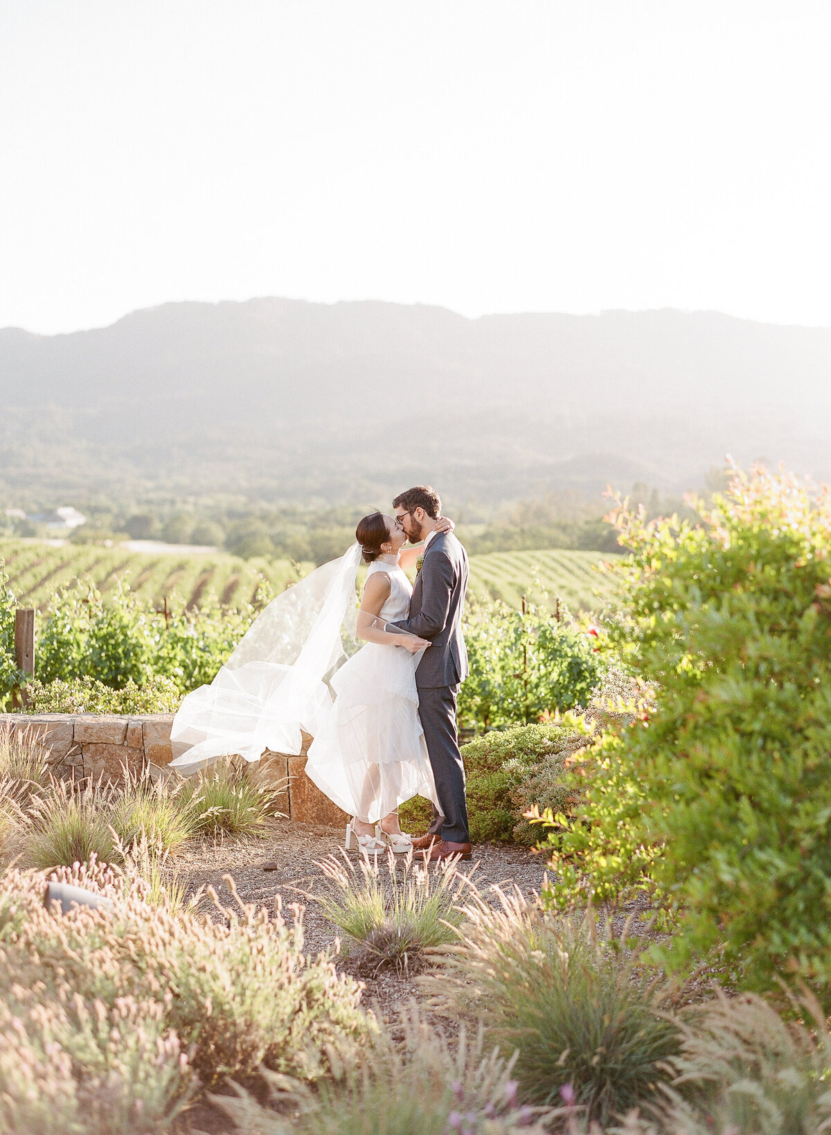 Hamel Winery Wedding-14