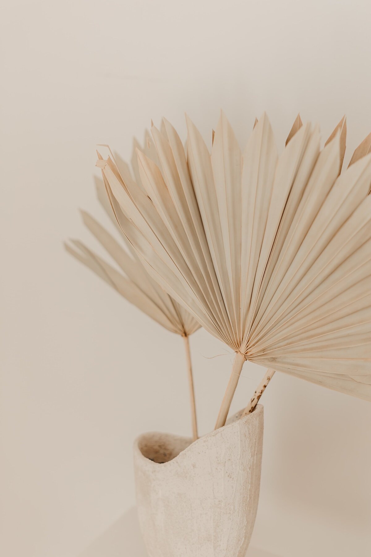 ellie-ellien-Q53-IqH9uDE-unsplash