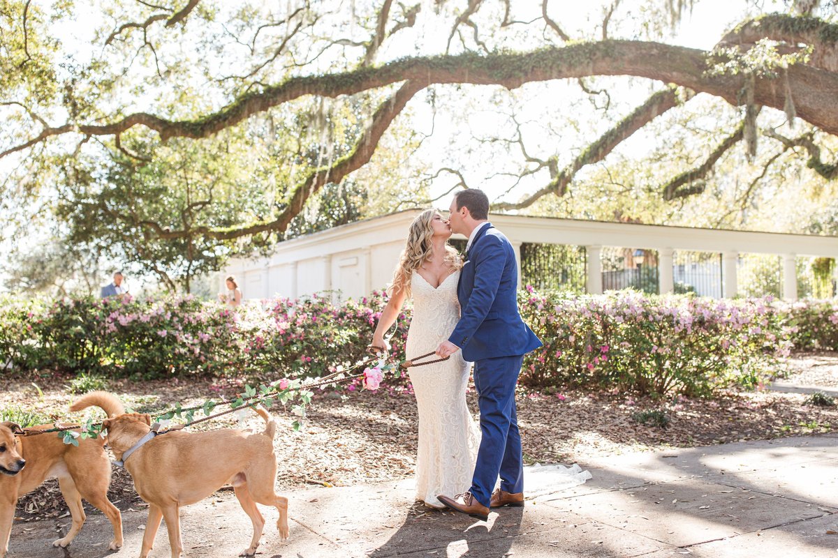 bride and groom with dogs walking in forsyth park