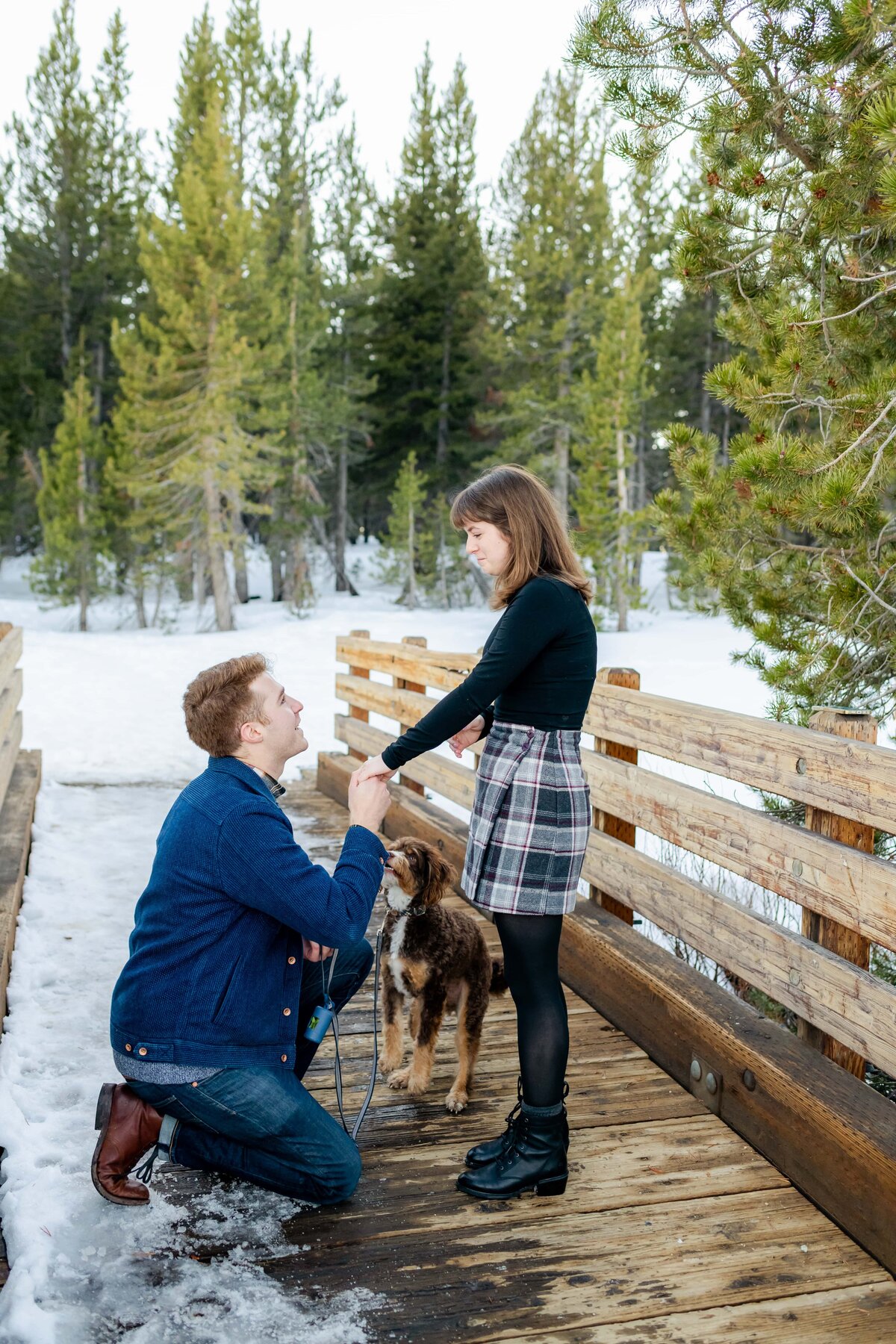 Tahoe-Proposal-Photographer-Alyssa-Lynne-Photography-4