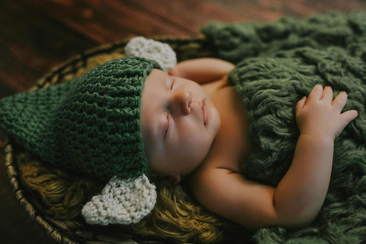 Oittsburgh Newborn photographer-3