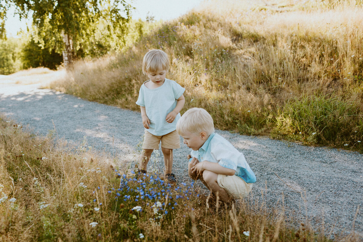 Perhekuva kahdesta veljeksestä tutkimassa villikukkia kesällä Käpylässä Helsingissä