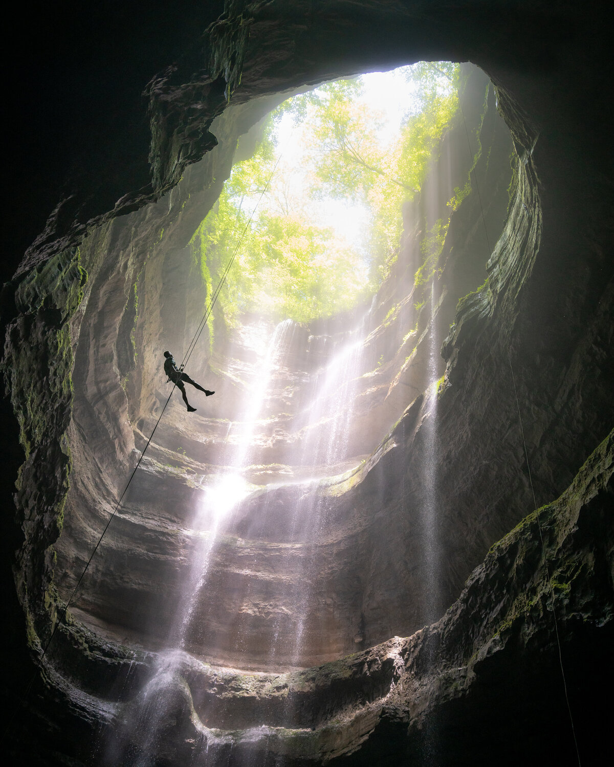 Person hanging in the air on a cable descending into a canyon with trees at the top