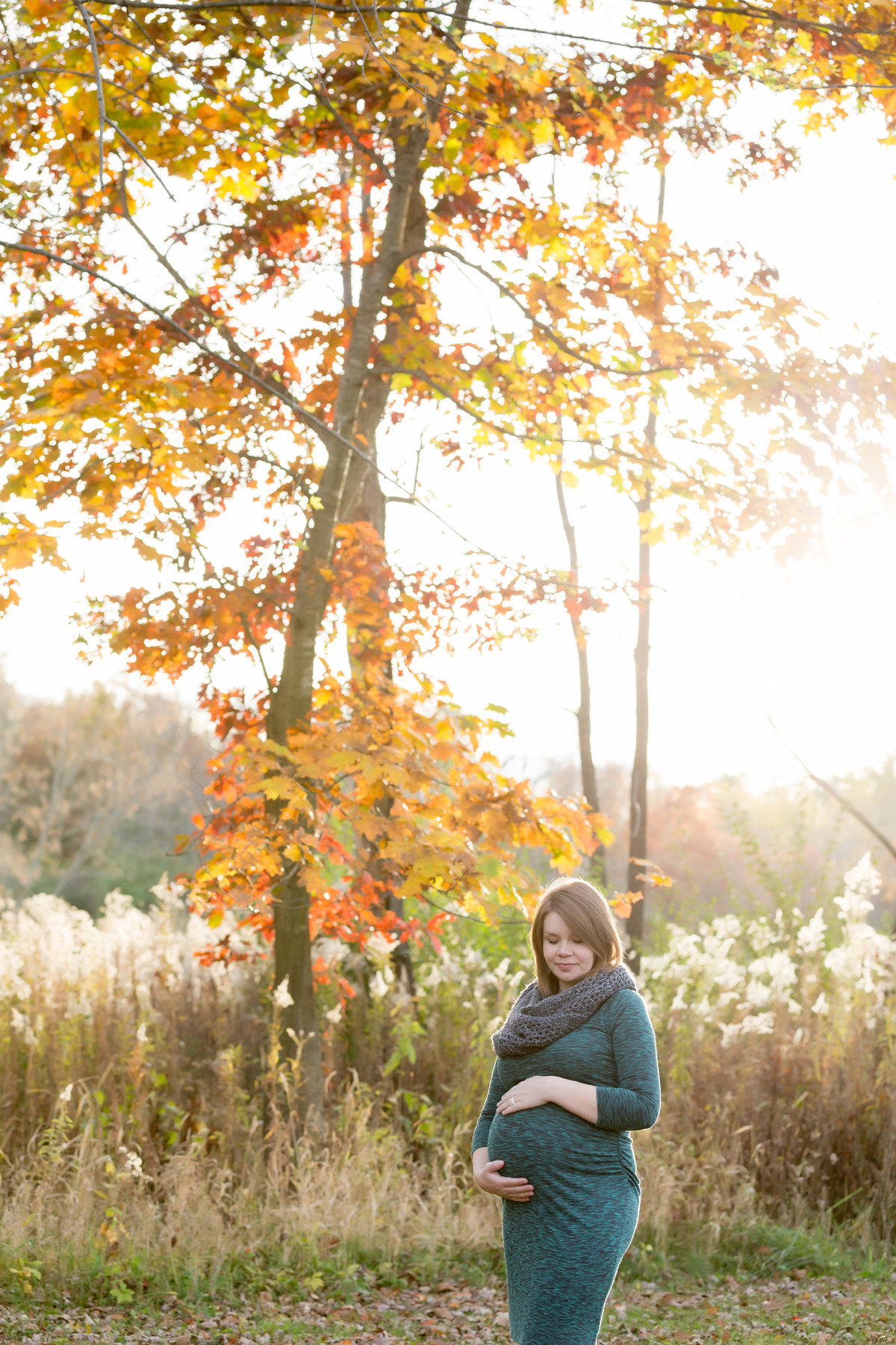 Maternity session in the fall - Jen Madigan - Naperville IL Maternity photographer