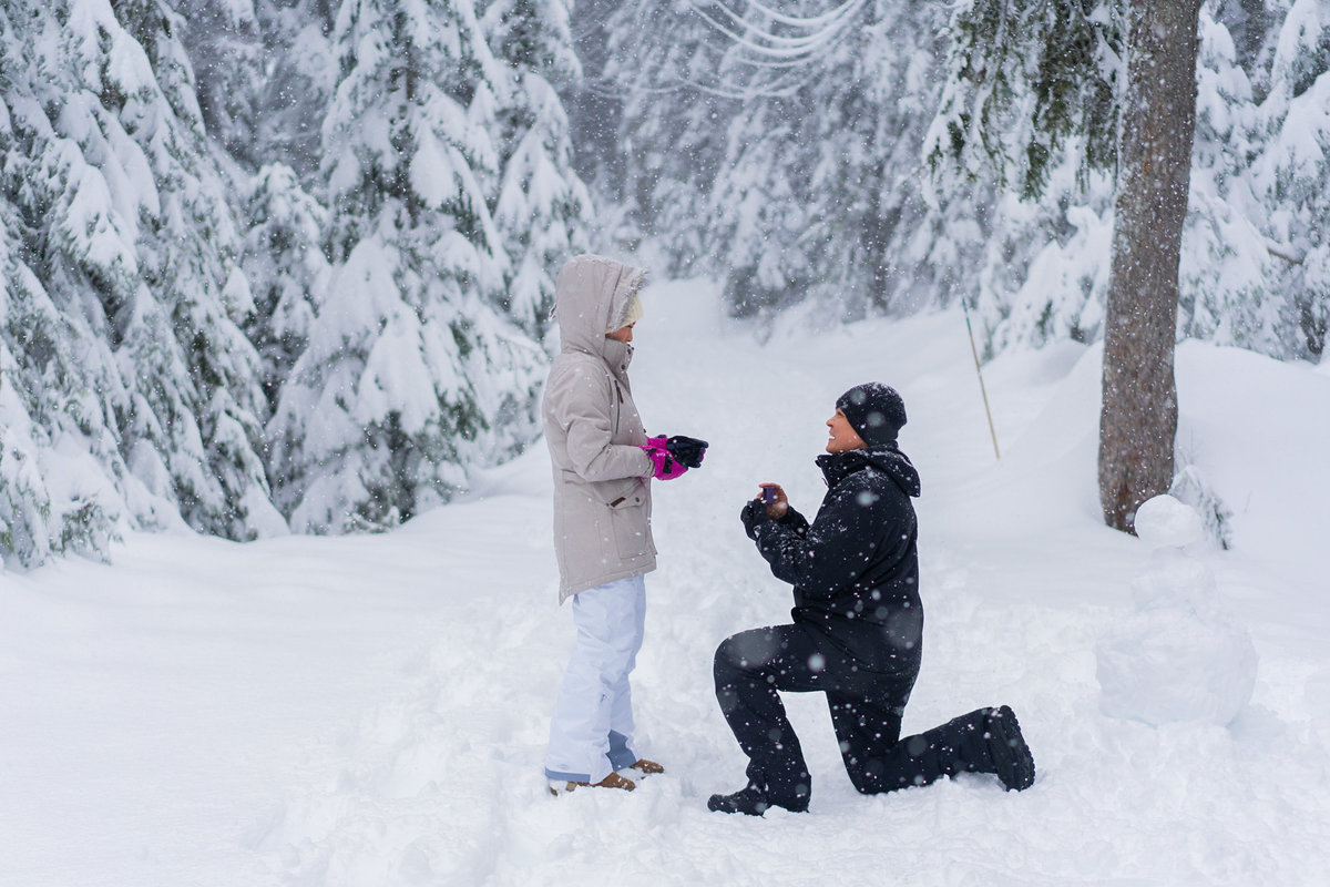 Grouse Mountain proposal during the winter time.