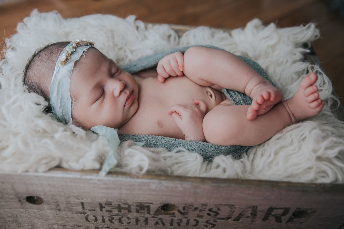 raleigh-Newborn-photographer-torrey61304