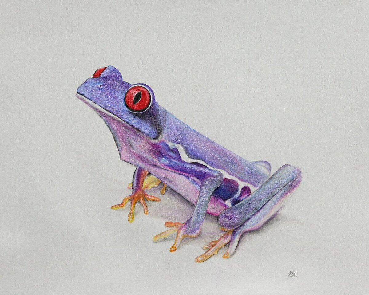 li'l frog buddy
