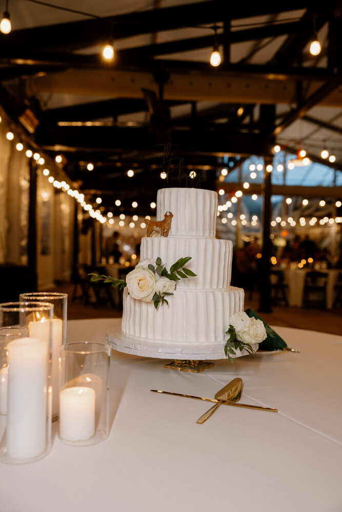 White Klump Photography St. Louis Wedding Photographer Digital and film photography, videography, and content creation Midwest Key West Destination family legacy121