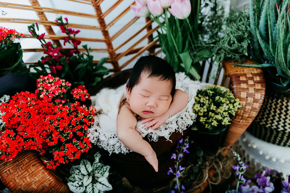 Bay-Area-Newborn-Photographer23