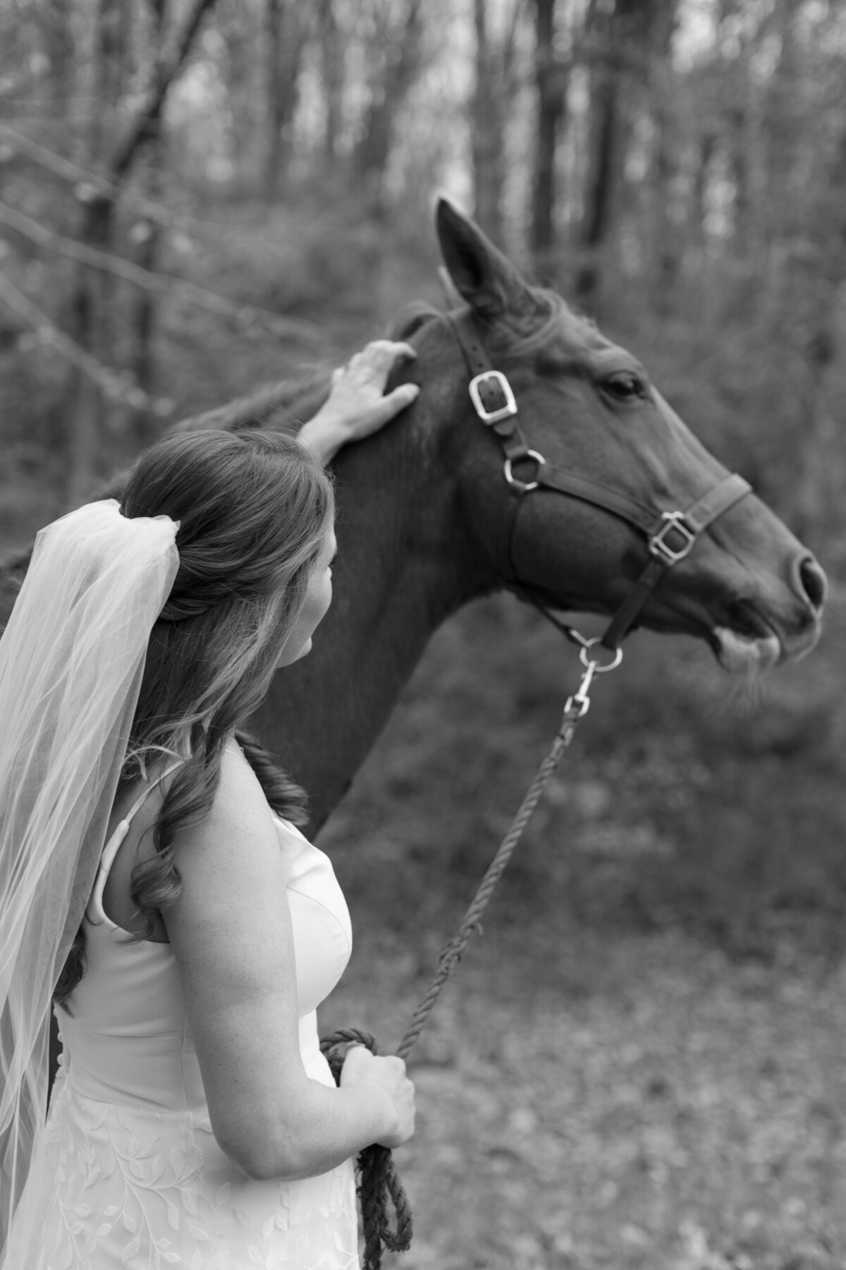 bridal-portraits-with-horse