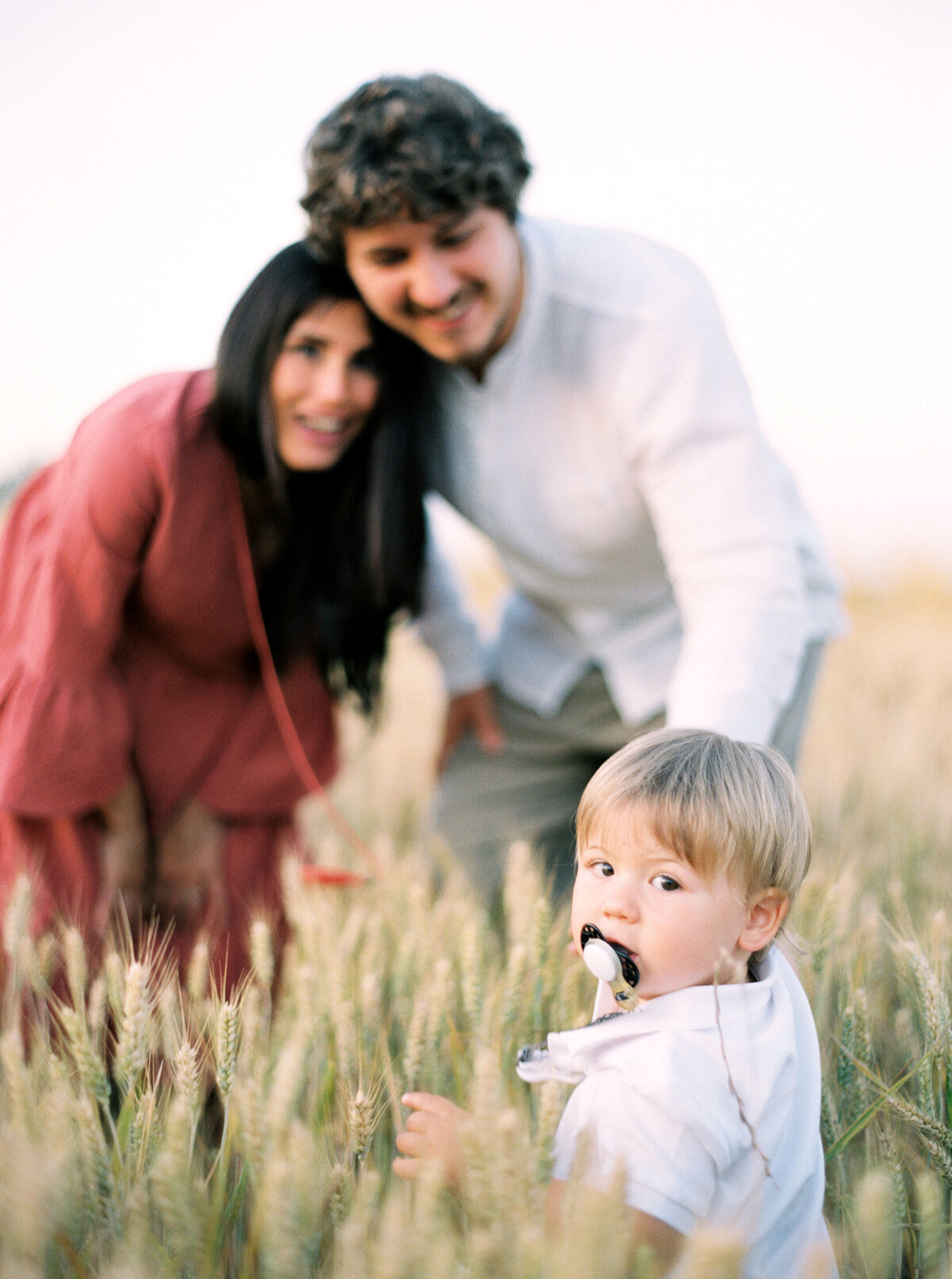 Father and mother look adoringly at toddler son in a field