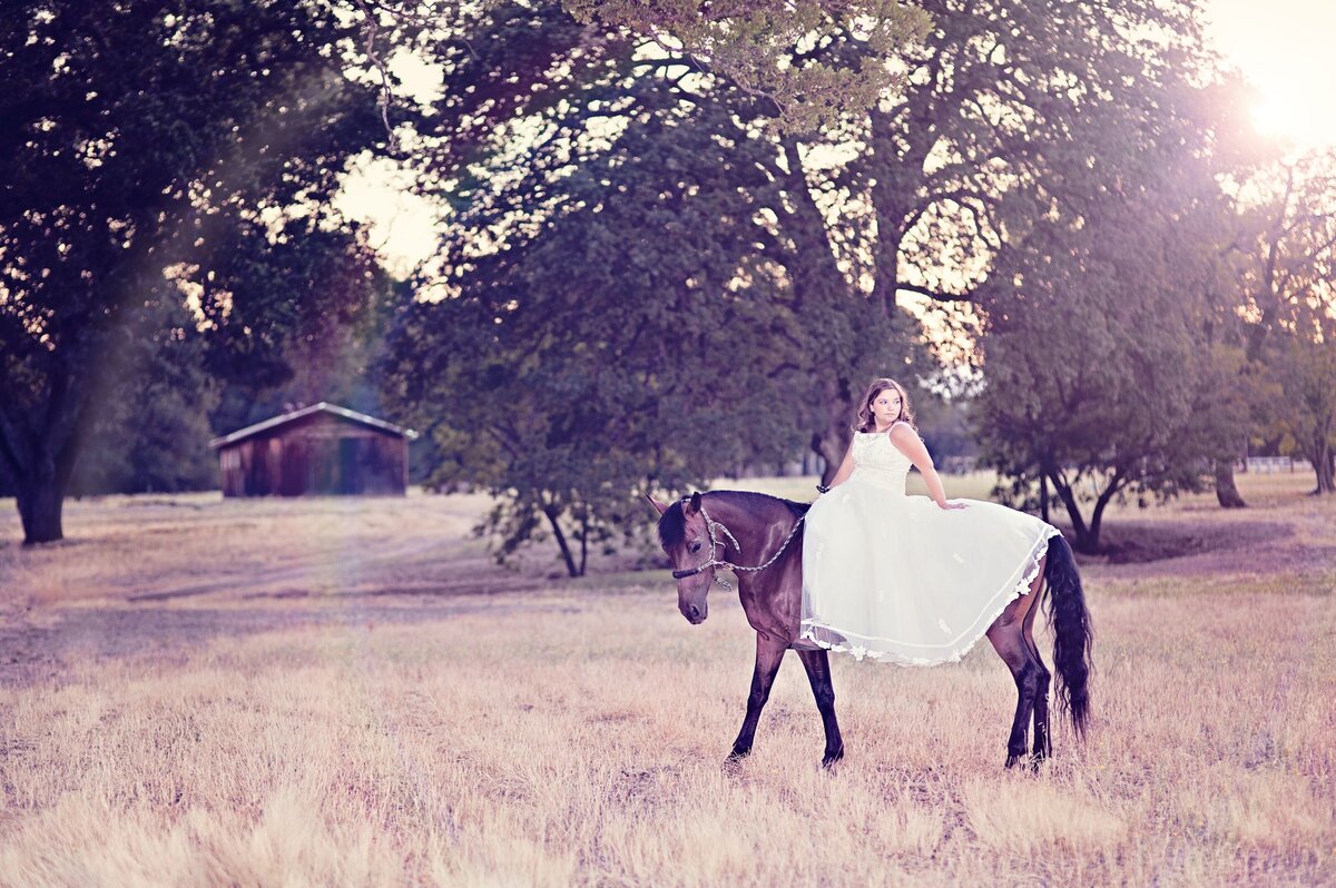 Senior Portrait Girl on Horse at Sunset in Fancy dress
