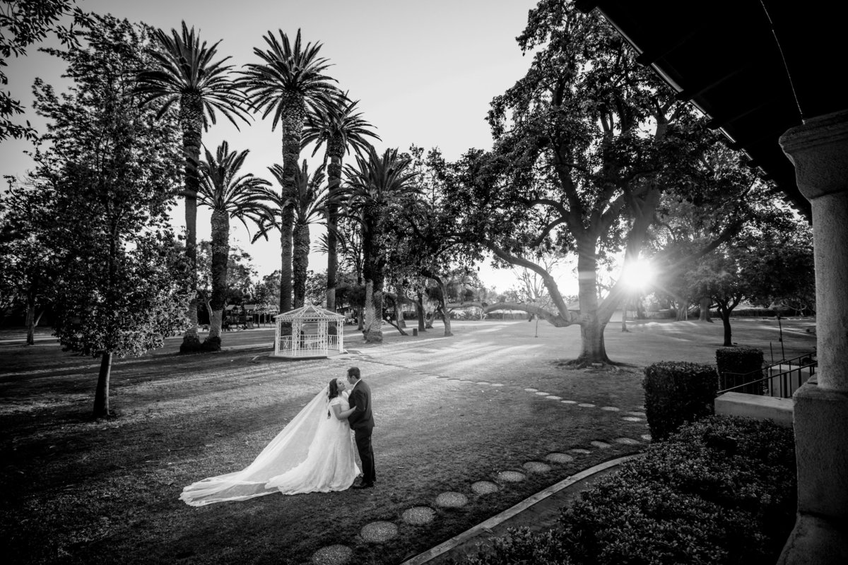 Nadean_and_James_Wedding-4096
