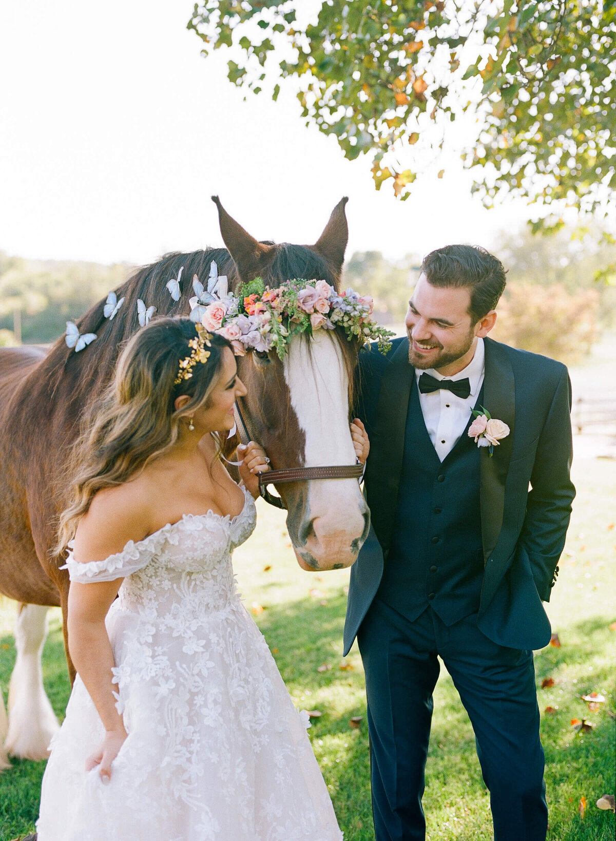 Bride and groom at barn wedding smiling with horse decorated with butterflies.