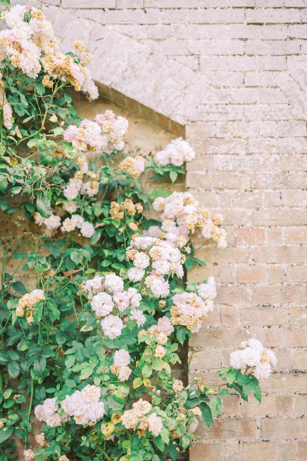 Scrivelsby Walled Garden Wedding - Dita Bowen Photography-59