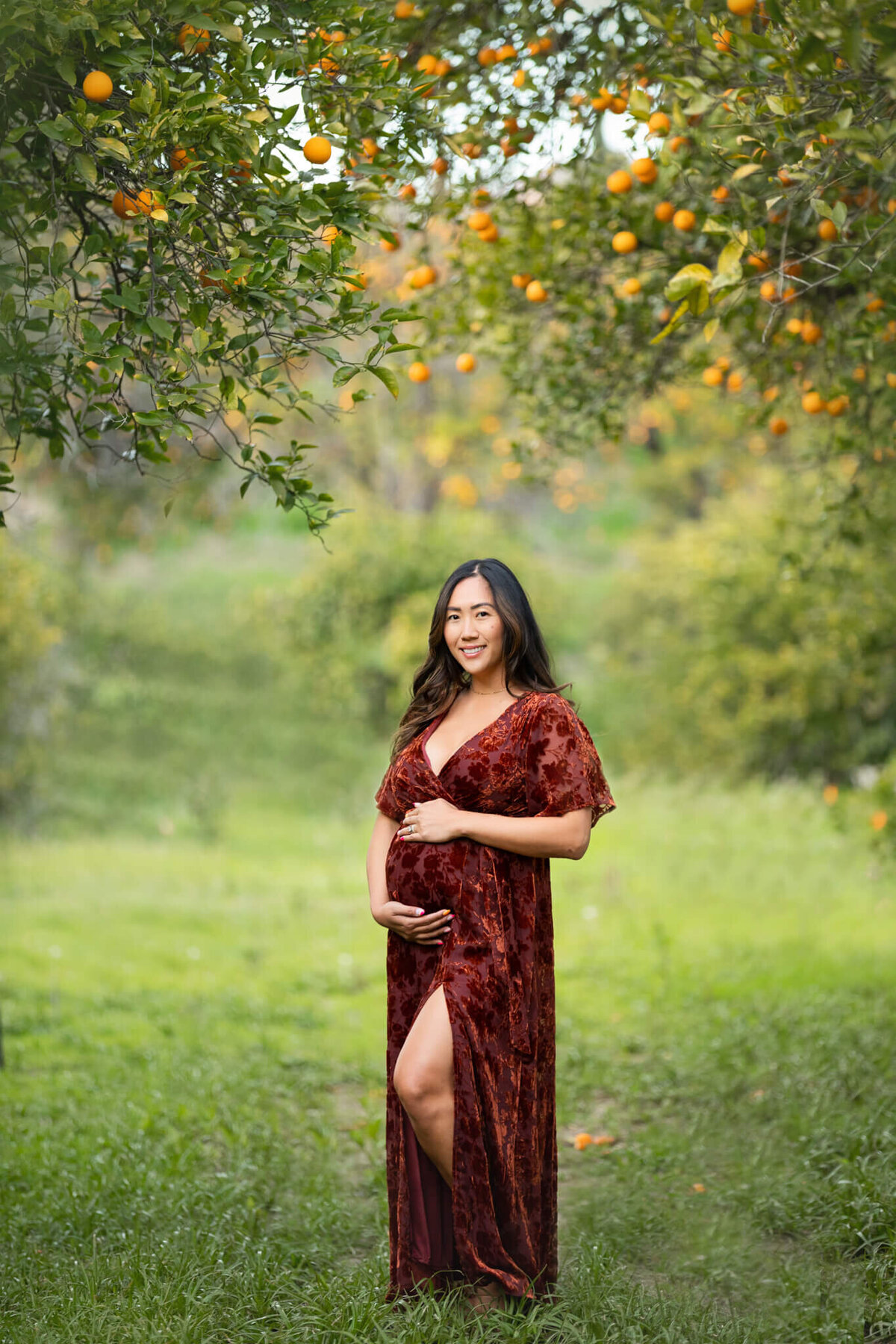 New mom in a red dress photographed under the orange tress in Los Angeles