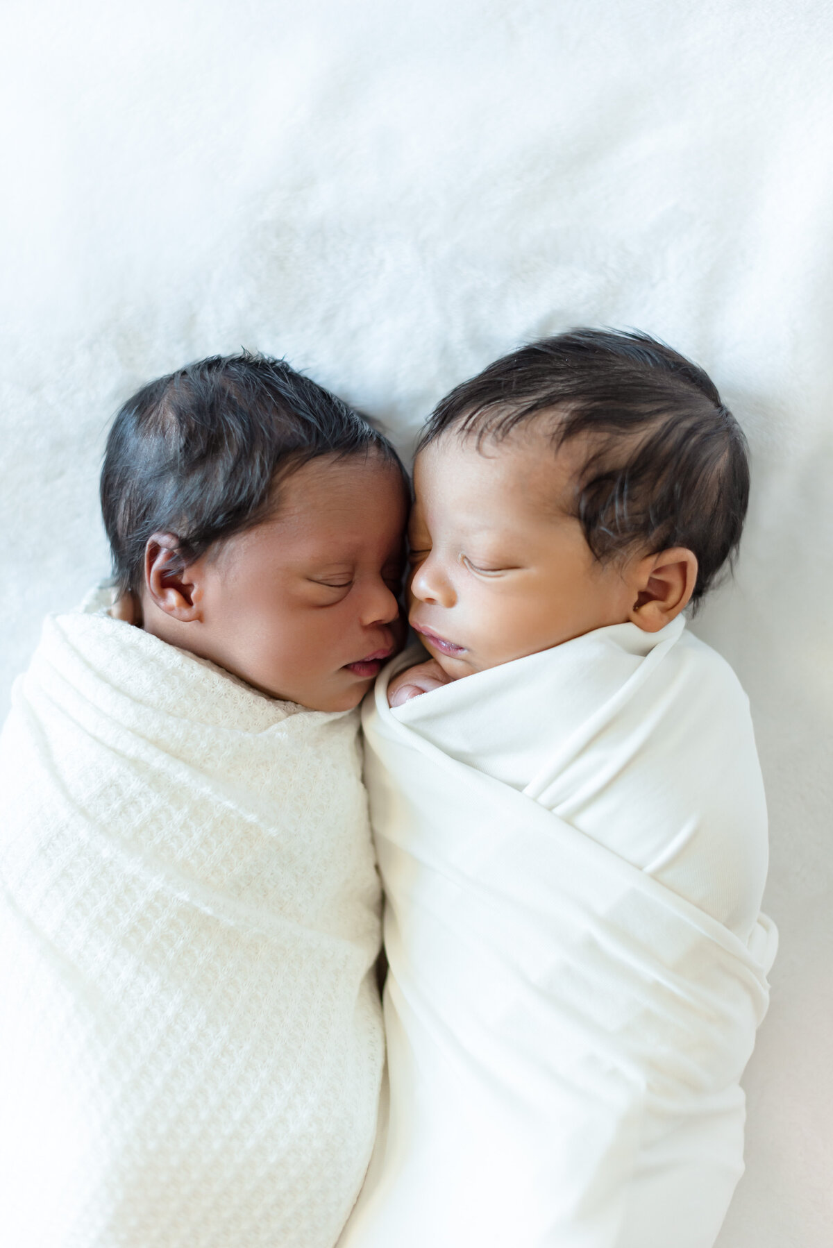 Perkins Twins Newborn Gallery048