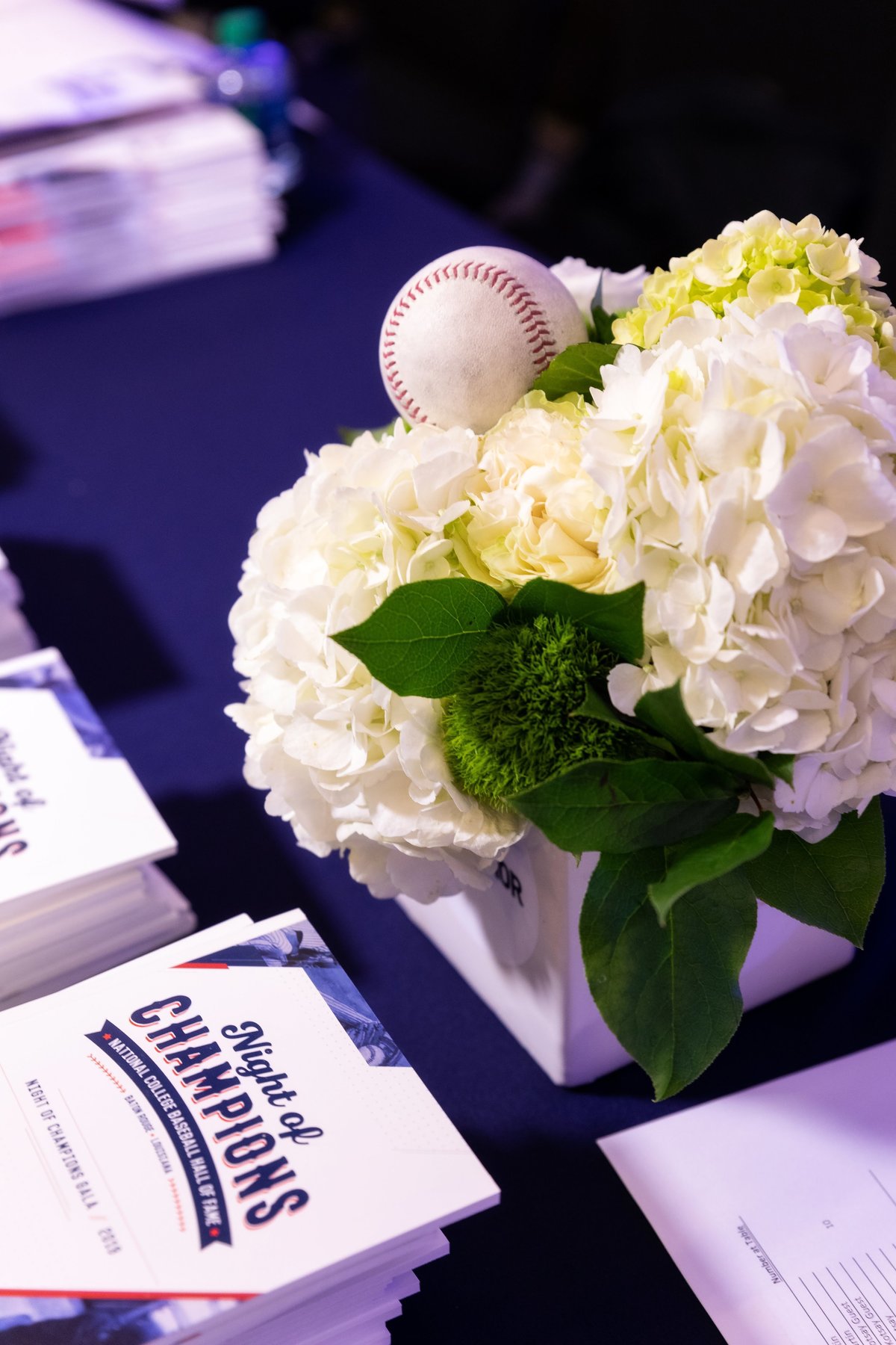 Baseball centerpiece for Sports Hall of Fame