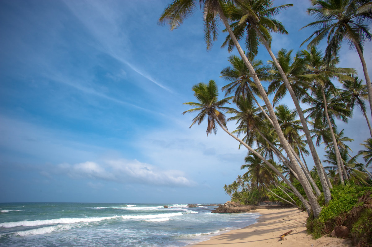 South Coast Beach - Sri Lanka DSC_2383-1-2