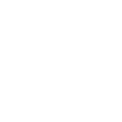 Welcome To The Jungle Logo