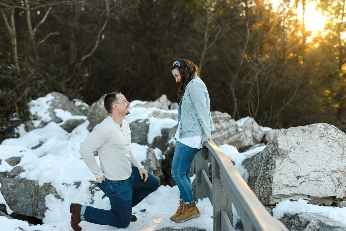 Casey +Cara proposal session-0124