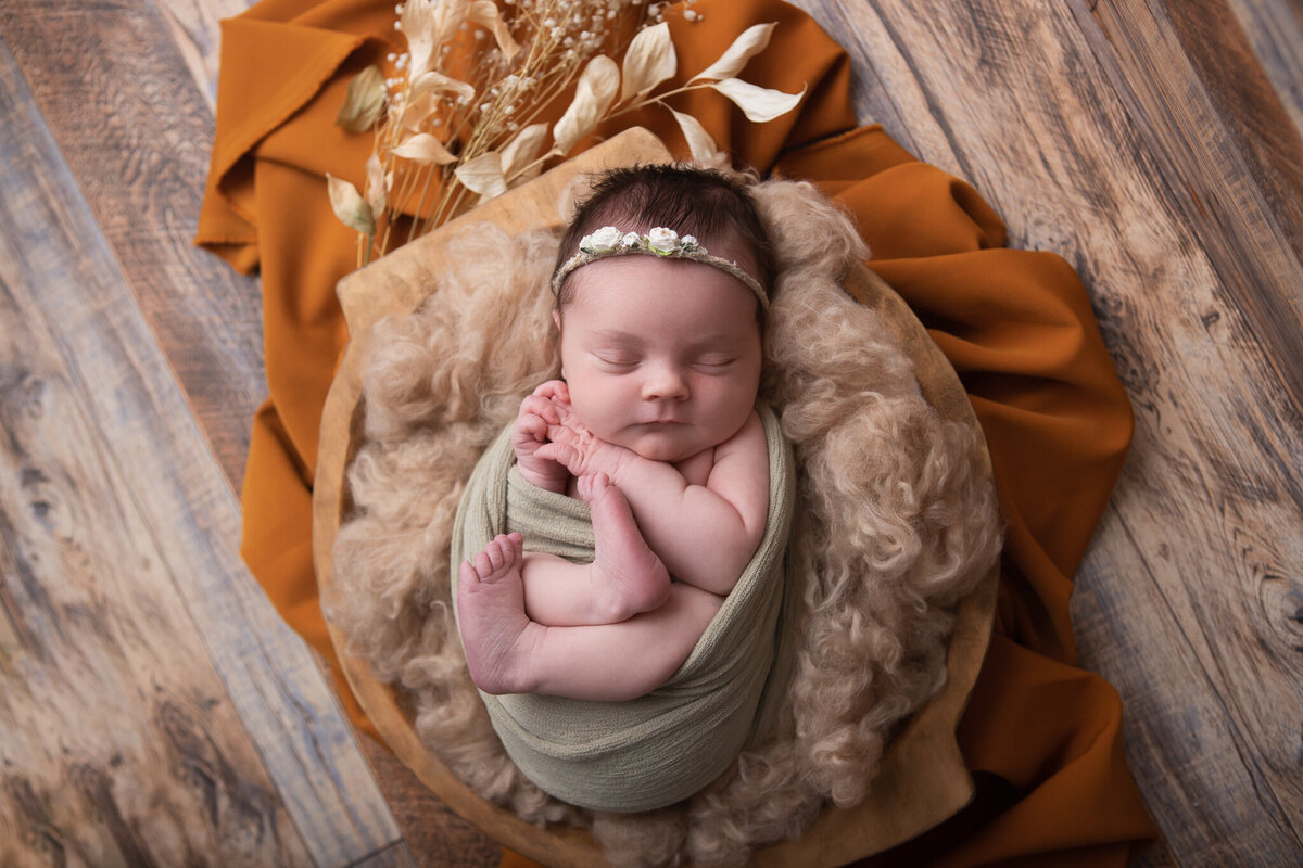 Studio posed newborn in a carved wooden bowl