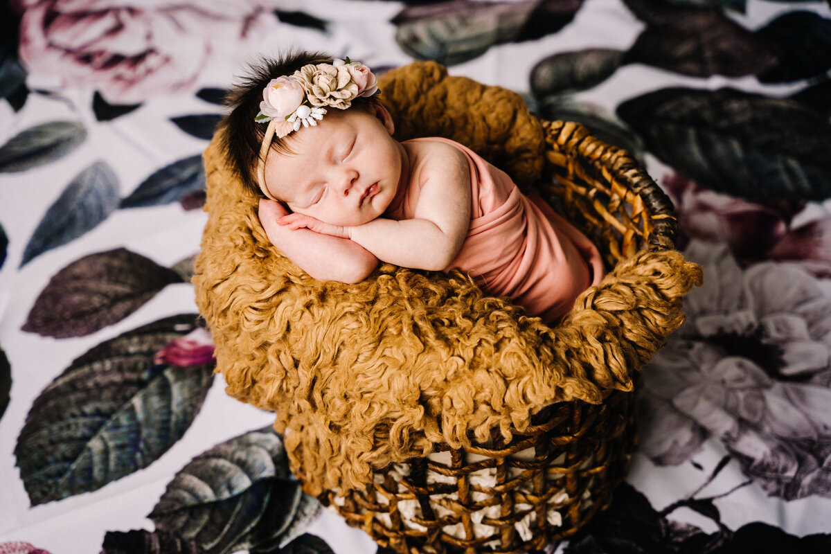 Pittsburhgh Newborn Photographer--Newborn Website Update-7