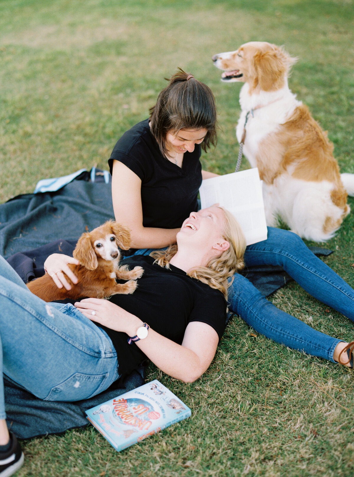 Lifestyle engagement photo session. These two brought their adorable pups to the park for engagement photos.