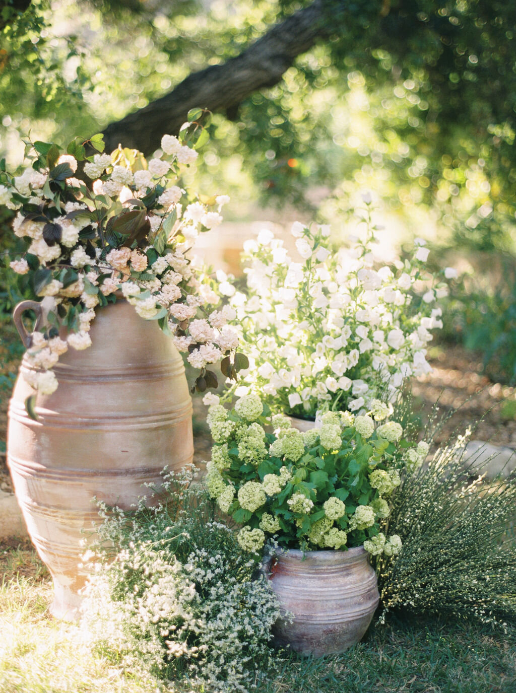 Ojai_EmbarkEvents_TroyMeiklePhoto_122