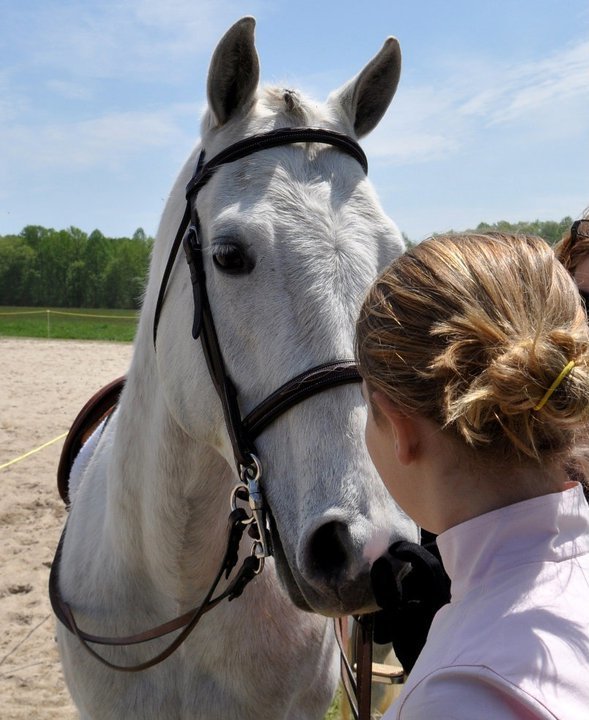 White Horse