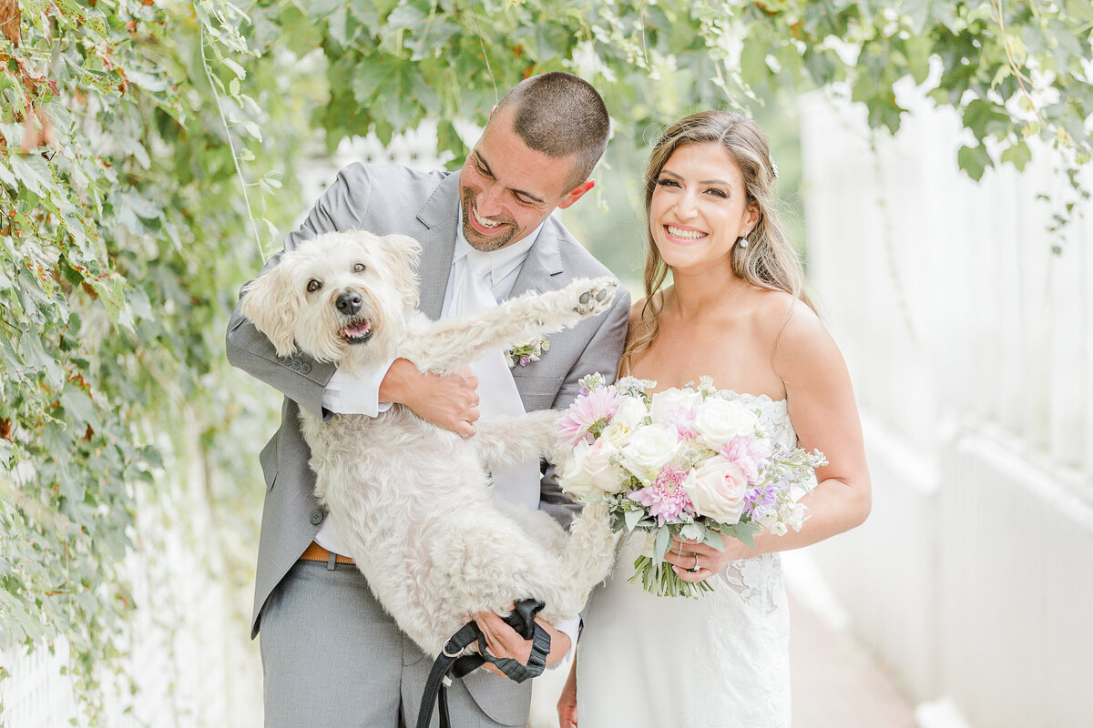 Bride and groom pose for a wedding portrait. Groom is holding their white dog and smiling at the pup. the bride is laughing at the camera. Captured by best Massachusetts wedding photographer Lia Rose Weddings.