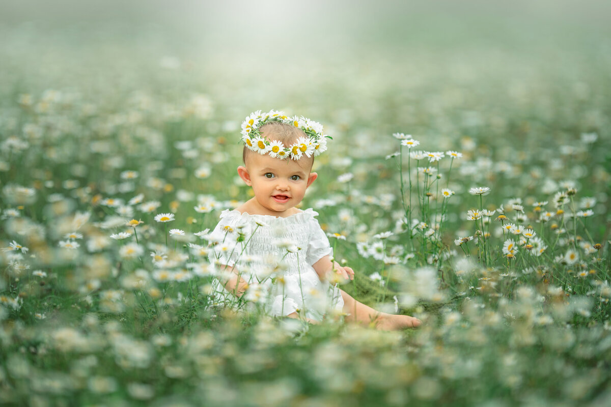 baby girl with a white flower  headband sitting in the field of daisies.