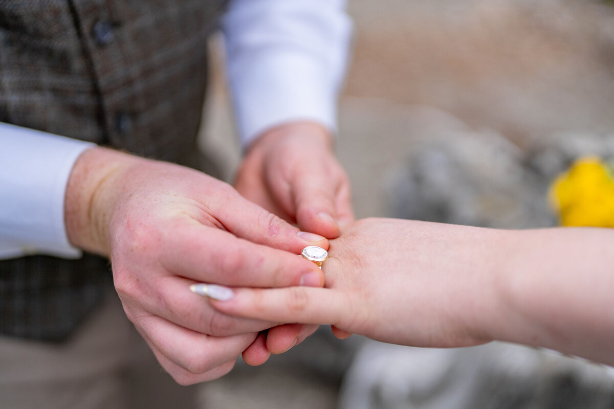 Glacier National Park Wedding summer  (27)