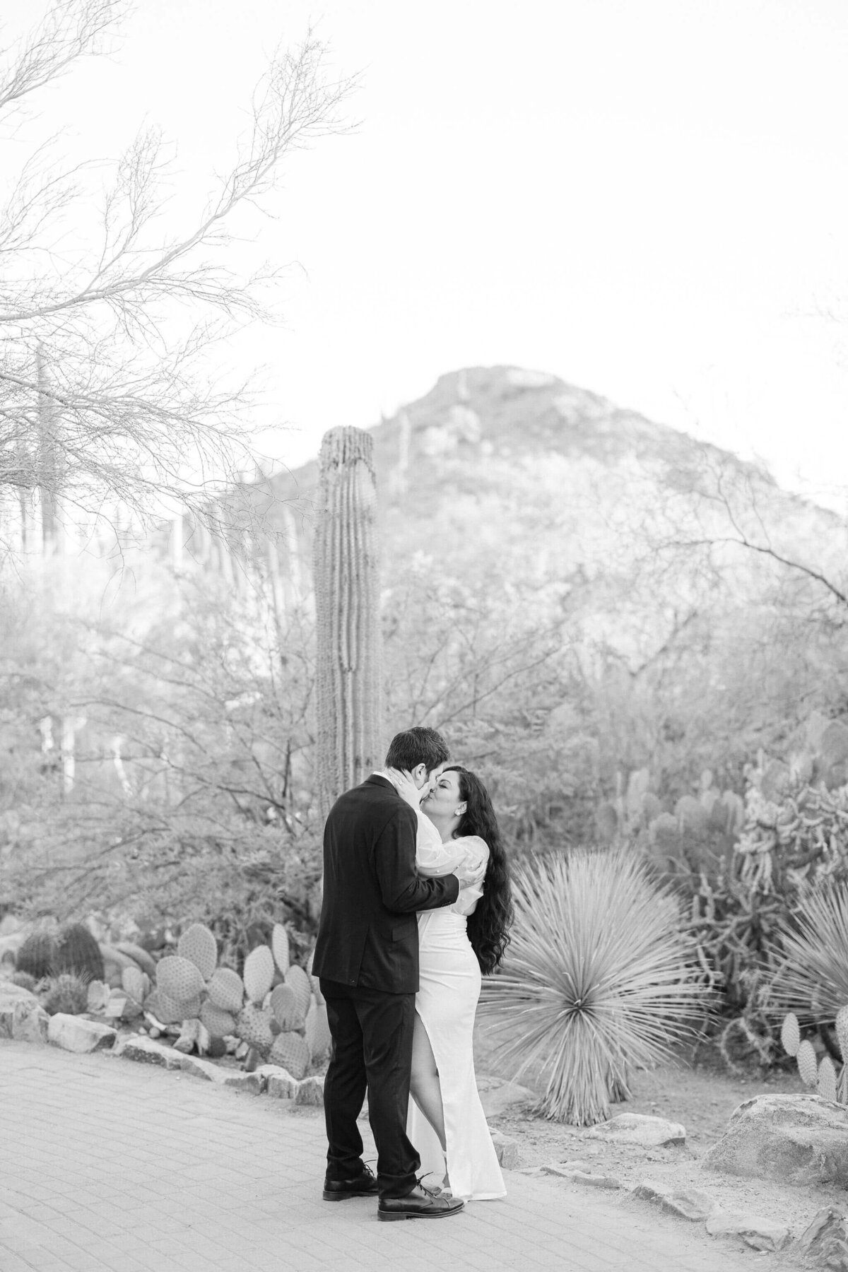 Desert-Botanical-Garden-Wedding-Photographer-Justine-Grace-Photography-10