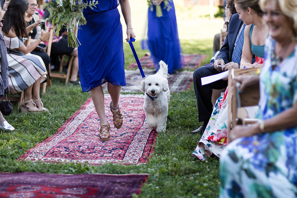 Monica_Relyea_Events_Dawn_Honsky_Photography_bride_and_groom_Nostrano_vineyard_ceremony_dog