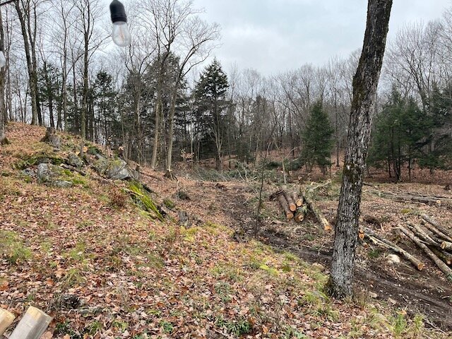 Lot clearing to build your dream cottage