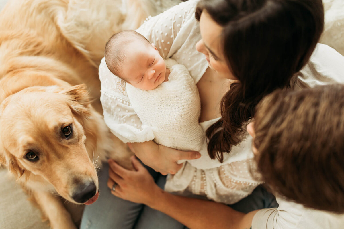 Newborn and dog with mom and dad holding baby.