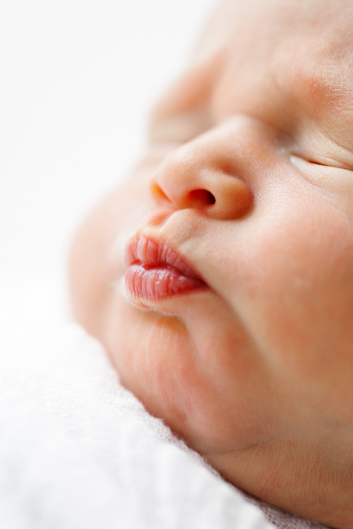 houston newborn photographer-448