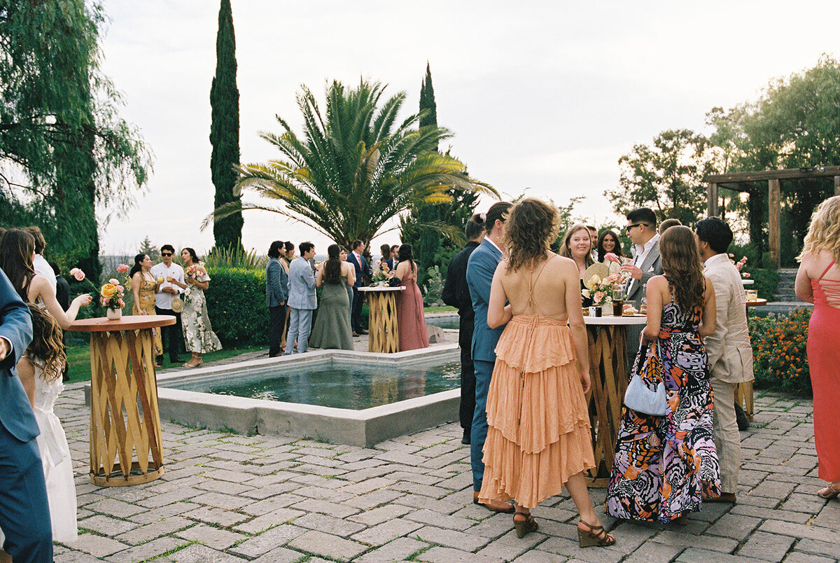 guests mingle at mexico destination wedding during cocktail hour