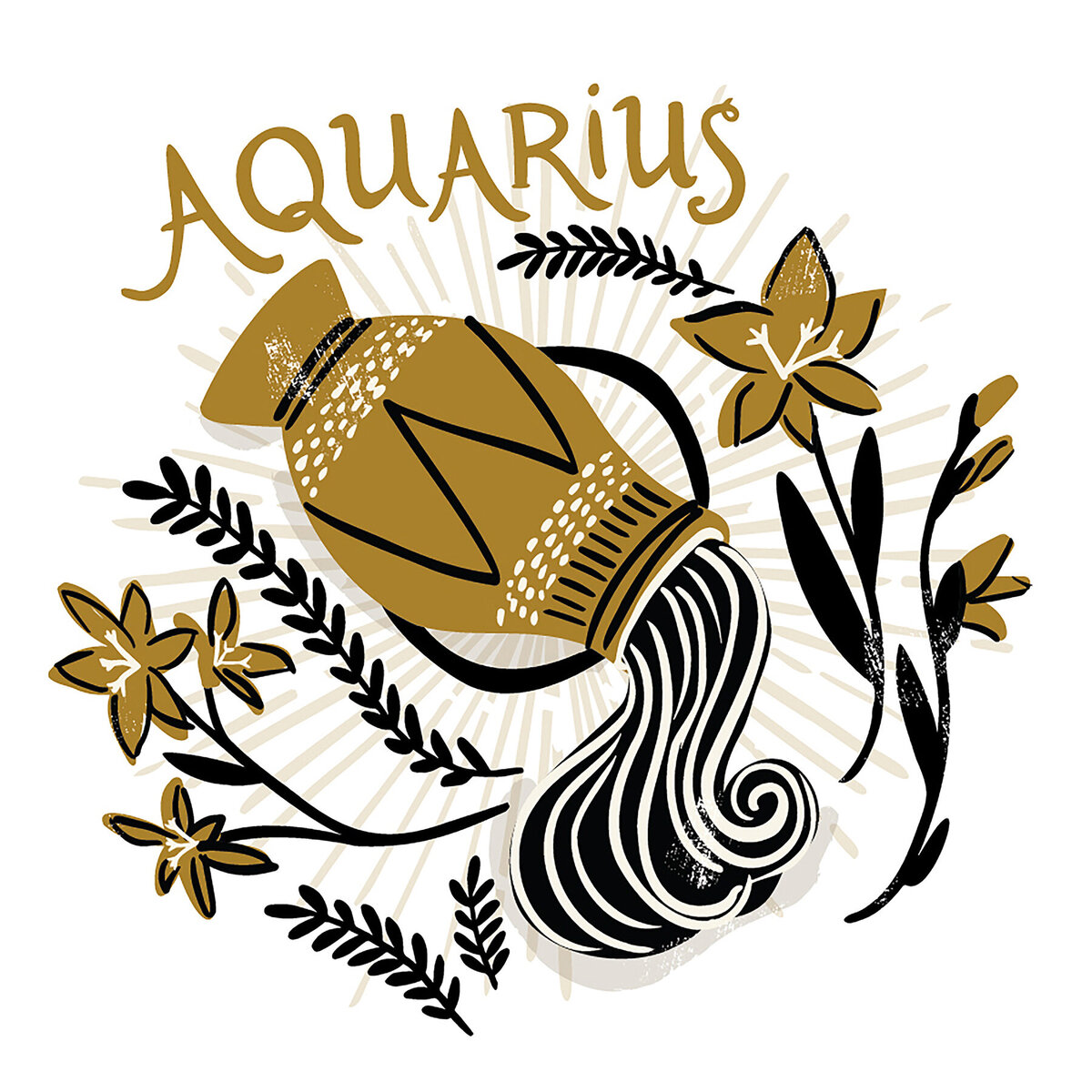 Aquarius_RW2-01