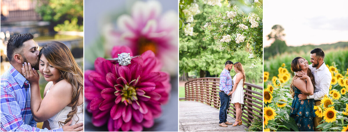 Engagementsd