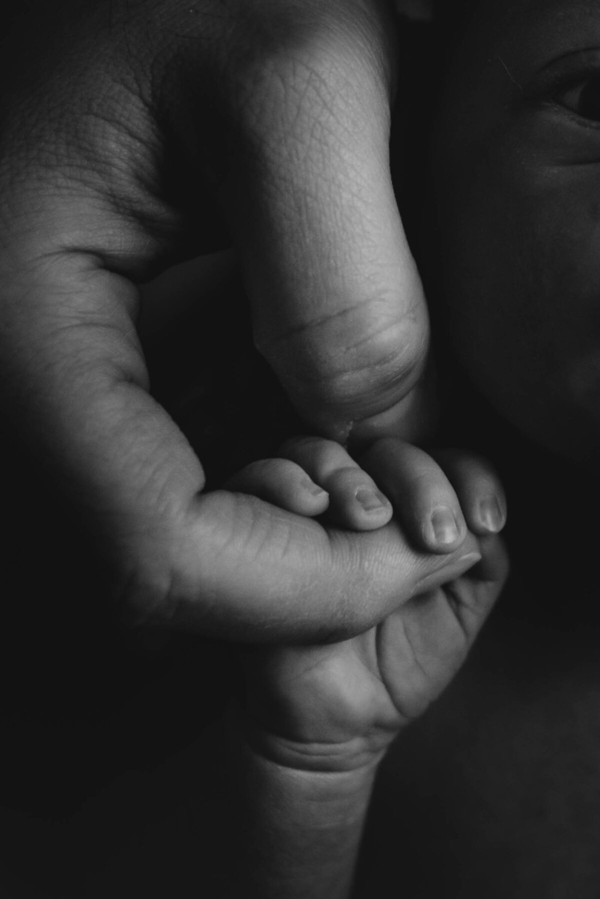 Black and White Baby holding fingers detail shots Newborn Photography