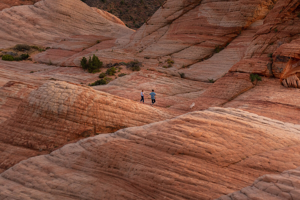 zion-national-park-engagement-photographer-wild-within-us (304)