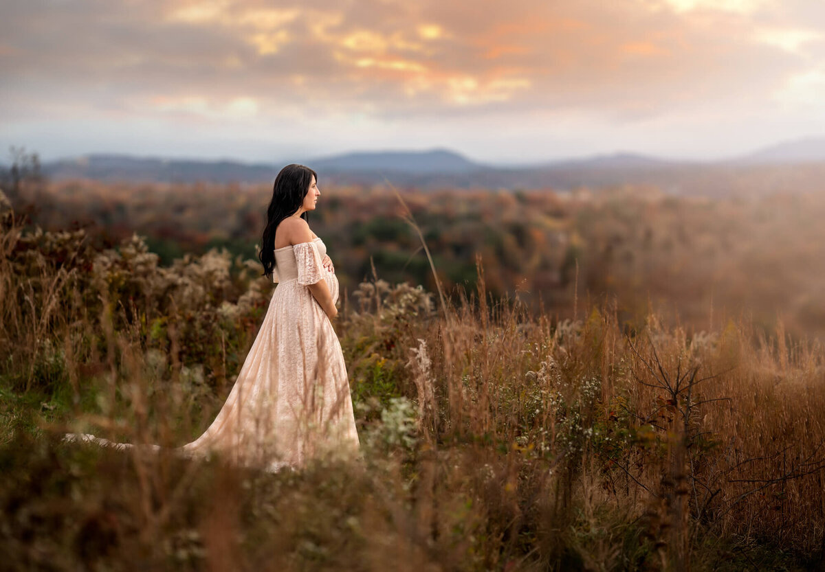 A mama to be stands in a white gown on a mountain top with the city of Asheville behind her
