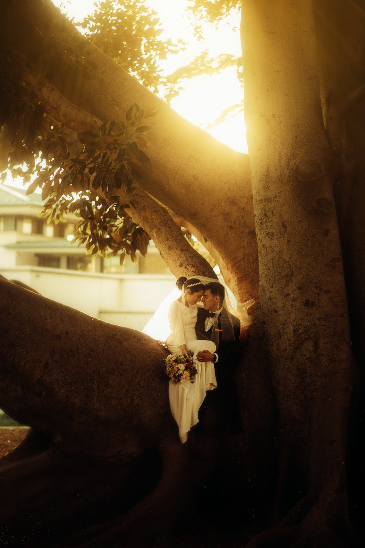 Married Couple In Tree Photography
