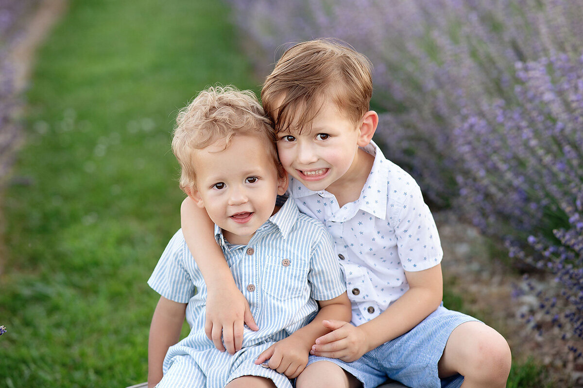 Family session of little boys near a lavender field