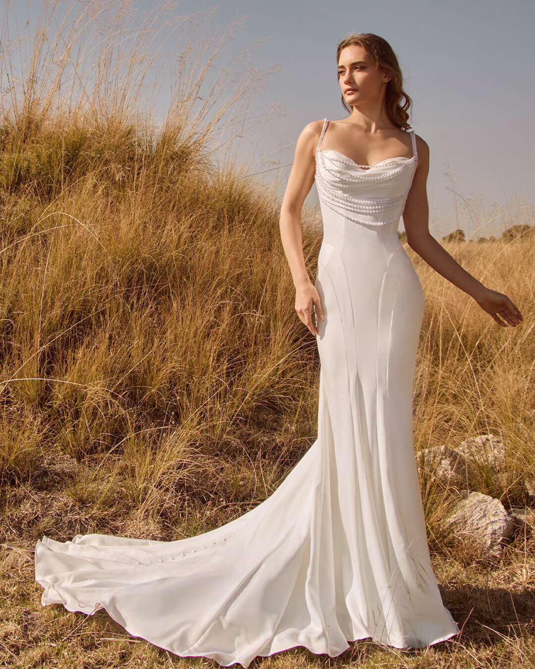 LP2559-Saphira-(1)